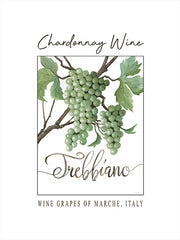 CIN4464 - Chardonnay Wine - 12x16