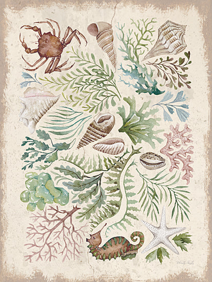 Cindy Jacobs CIN4507 - CIN4507 - Treasures of the Tide II - 12x16 ocean life, seashells, seaweed, starfish, crab, underwater greenery, marine art, seashore illustration, watercolor ocean, coastal decor from Penny Lane