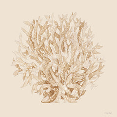 CIN4514 - Pale Coral Portrait I - 12x12