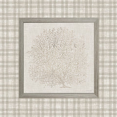 CIN4516 - Coral Branch I - 12x12