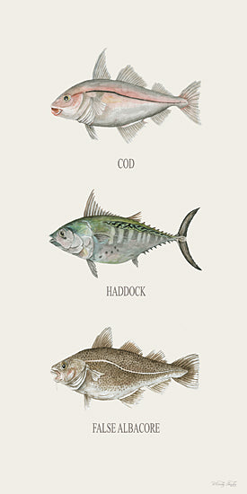 Cindy Jacobs CIN4518 - Fish Chart I - 9x18 fish species chart, cod fish, haddock, false albacore, educational fish art, marine life illustration, naturalist style from Penny Lane