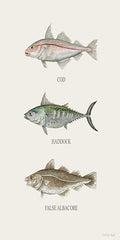 CIN4518 - Fish Chart I - 9x18