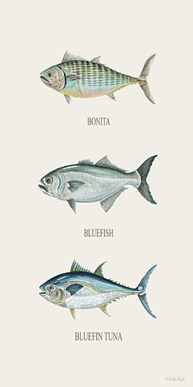 Cindy Jacobs CIN4519 - CIN4519 - Fish Chart II - 9x18 fish illustration, bonita, bluefish, bluefin tuna, marine species chart, educational wall art, realistic watercolor fish from Penny Lane