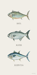 CIN4519 - Fish Chart II - 9x18