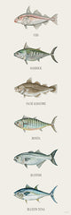 CIN4520 - Fish Chart III - 12x36