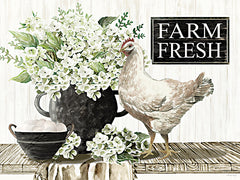 CIN4585 - Farm Fresh    - 16x12