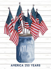 CIN4605 - Patriotic Canning Jar - 12x16