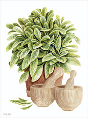 CIN4695 - Potted Sage - 12x16