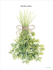 CIN4696 - Cilantro - 12x16