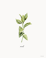 CIN4707 - Mint Herb - 12x16
