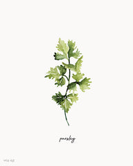 CIN4708 - Parsley Herb - 12x16