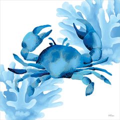 CTD313 - Reef Roamer 1 - 12x12