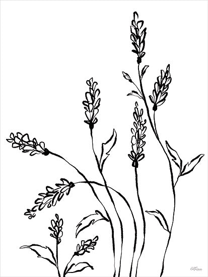 Cat Thurman Designs CTD322 - CTD322 - Simple Blooms II - 12x16 line art, botanical stems, wild herbs, lavender sketch, black and white plant drawing, delicate flora, minimal illustration from Penny Lane
