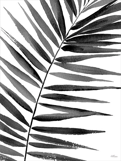 Cat Thurman Designs CTD324 - CTD324 - Watercolor Leaves II - 12x16 monochrome palm leaves, tropical foliage, botanical illustration, minimalist nature decor, modern tropical art from Penny Lane