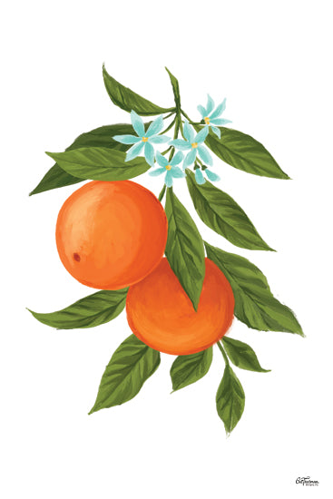 Cat Thurman Designs CTD340 - CTD340 - Oranges - 12x18 oranges on tree branch, citrus fruit illustration, botanical painting, fresh and vibrant food art, kitchen decor from Penny Lane