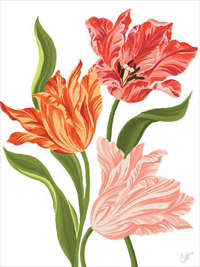Cat Thurman Designs CTD343 - CTD343 - Whispering Tulips   - 12x16 tulip flowers, botanical art, spring blooms, vibrant petals, floral bouquet, white background, decorative floral design from Penny Lane