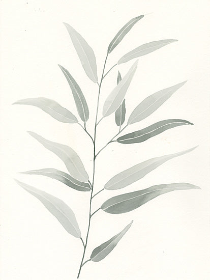 Dogwood Portfolio DOG318 - DOG318 - Sage Leaves I - 12x16 minimalist eucalyptus branch, soft green leaves, botanical watercolor, neutral nature art, modern farmhouse decor from Penny Lane