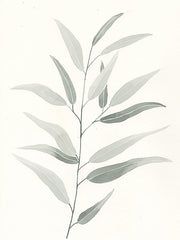 DOG318 - Sage Leaves I - 12x16