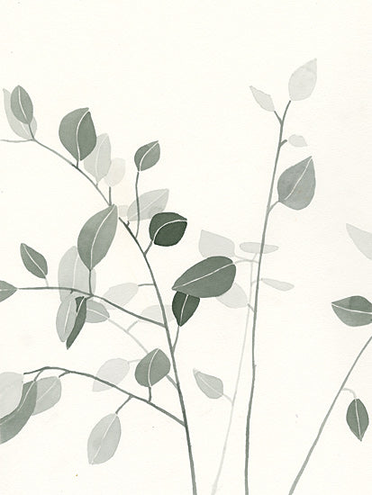 Dogwood Portfolio DOG319 - DOG319 - Sage Leaves II - 12x16 delicate leaf painting, nature-inspired art, minimalist plant design, soft green botanical illustration from Penny Lane