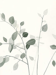 DOG319 - Sage Leaves II - 12x16