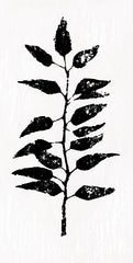 DOG333 - Ebony Leaves I - 9x18