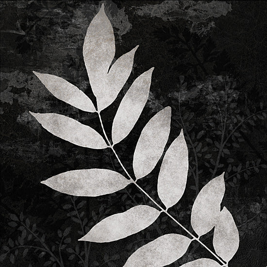 Dogwood Portfolio DOG335 - DOG335 - Silver Branch - 12x12 monochrome leaves, dark background, botanical art, minimalist nature print, moody aesthetic, foliage from Penny Lane
