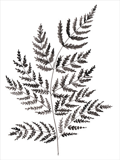 Dogwood Portfolio DOG336 - DOG336 - Simple Fern in Black - 12x16 black and white fern illustration, detailed leaf structure, natural elements, artistic botanical sketch from Penny Lane