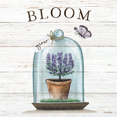 ET602 - Bloom Terrarium - 12x12