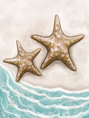 ET623 - Starfish - 12x16