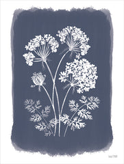 FEN1028 - Navy Lace I - 12x16