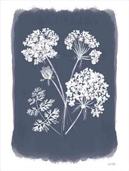 FEN1029 - Navy Lace II - 12x16
