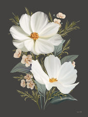 FEN1204 - Old Lace Cosmos I - 12x16