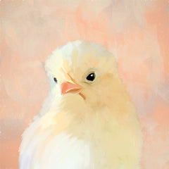 FEN1247 - This Little Chick   - 12x12