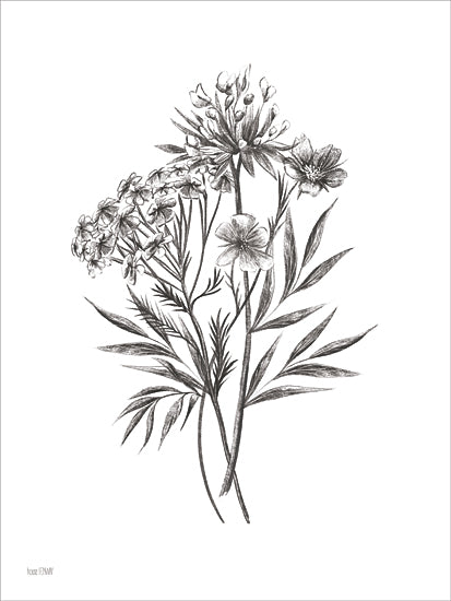 House Fenway FEN1290 - FEN1290 - Wildflower Sketch I - 12x16 black and white botanical sketch, floral pencil drawing, wildflower stems, monochrome botanical art, delicate blossoms, vintage flower illustration, hand-drawn nature study, neutral wall decor, minimalist floral print, detailed line work, garden botanical sketch, fine art drawing, cottage floral decor, ink and graphite look from Penny Lane