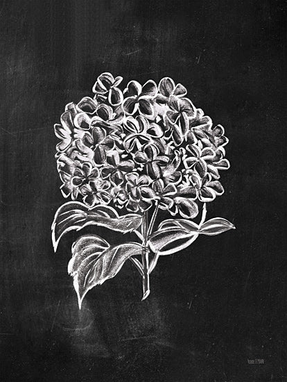 House Fenway FEN686 - FEN686 - Chalkboard Wildflower III - 12x16 hydrangea drawing, chalk art, botanical design, flower cluster, blackboard style, monochrome illustration, elegant floral from Penny Lane