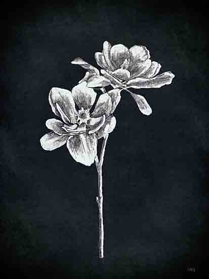 Heidi Kuntz HK176 - HK176 - Magnolia Stem - 12x16 white magnolia flowers, dark navy background, monochrome floral sketch, black and white, moody floral art from Penny Lane