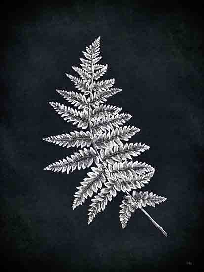 Heidi Kuntz HK177 - HK177 - Fern Stem - 12x16 fern leaf, white botanical drawing, dark navy background, black and white nature art, detailed foliage sketch from Penny Lane