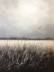 HK204 - Fieldscape   - 12x16
