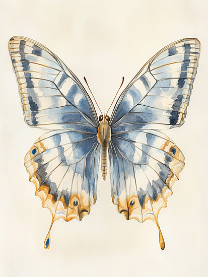 Heidi Kuntz HK485 - HK485 - Winged Wonder  - 12x16 Butterfly, Watercolor, Nature, Insect, Detailed Illustration from Penny Lane