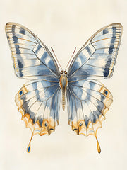 HK485 - Winged Wonder  - 12x16