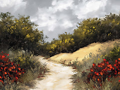 HK558 - The Walking Trail - 16x12