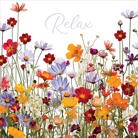 Heidi Kuntz HK618 - HK618 - Relax Wildflowers - 12x12 relax quote, colorful wildflowers, inspirational floral from Penny Lane