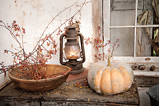 Irvin Hoover HOO130 - HOO130 - Bittersweet Bowl - 18x12 rustic decor, autumn harvest, vintage lantern, heirloom pumpkin, wooden bowl, bittersweet berries, farmhouse window, seasonal still life from Penny Lane