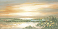 JAN351 - Daisies in the Dunes - 18x9