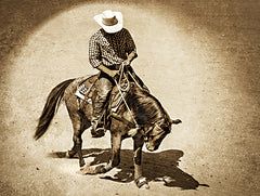 JGS591 - Cowboy at the Ranch III - 16x12