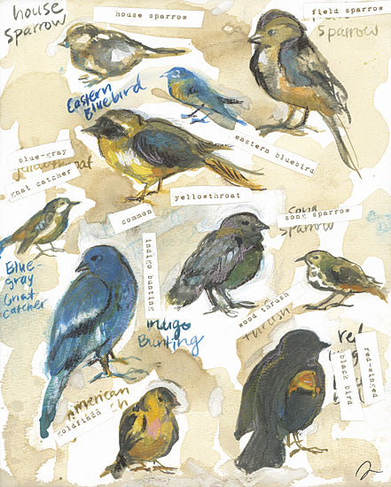 Jessica Mingo JM652 - JM652 - Tennessee Birds - 12x16 birds, sparrow, eastern bluebird, yellowthroat, indigo bunting, birdwatching, illustration, watercolor, colorful, nature, species, labels from Penny Lane
