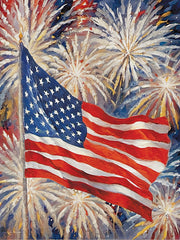 JO338 - Freedom Skies - 12x16