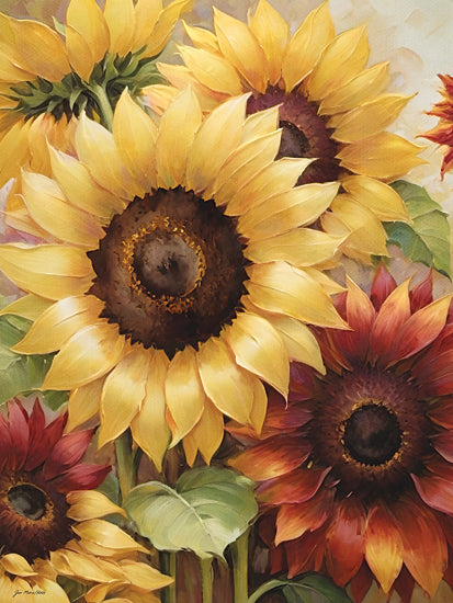 Jo Moulton JO349 - JO349 - Sunflower Variety - 12x16 close up sunflowers, yellow and red sunflowers, bold floral petals, warm summer bouquet, painterly botanical art, bright flower composition, garden blooms, decorative wall art, feminine floral design, nature inspired, golden petals, red orange blossoms, soft watercolor feel from Penny Lane