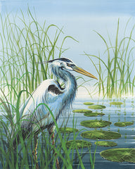 JR451 - Among the Reeds - 12x16