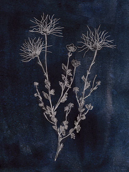 Kamdon Kreations KAM1060 - KAM1060 - Denim and Blues - 12x16 botanical illustration, wispy thistle, hand-drawn flora, dark background, monochrome flower art, nature silhouette from Penny Lane